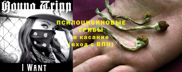 прущие грибы Арсеньев