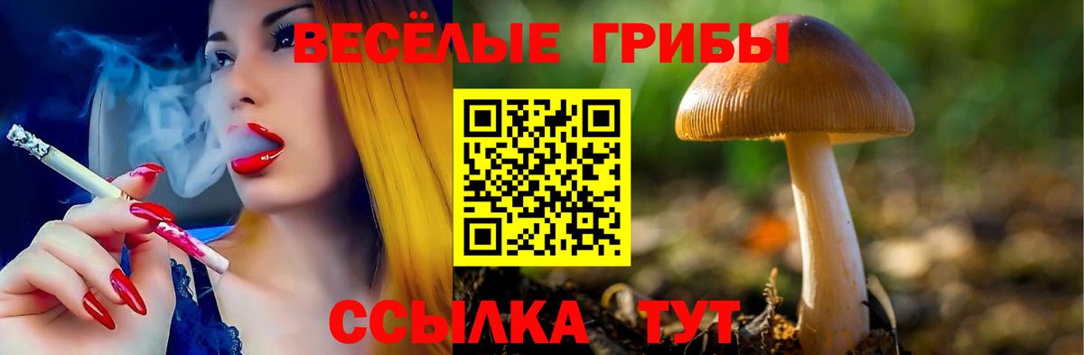 Галлюциногенные грибы мухоморы  Вход с VPN  Псилоцибиновые грибы Psilocybe  сколько стоит  Соль-Илецк 