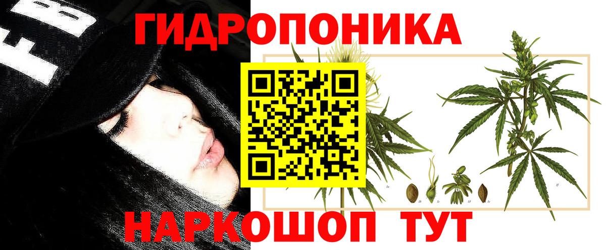 Канабис OG Kush Соль-Илецк